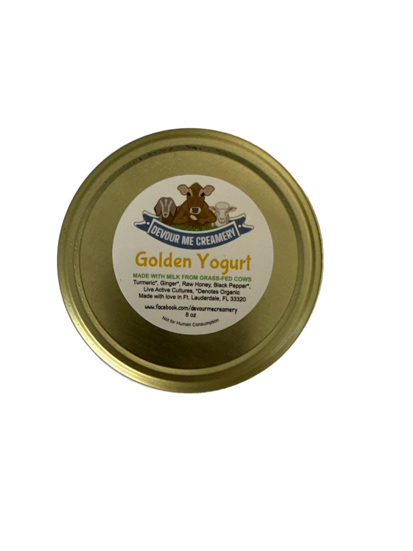 Raw Golden Yogurt 16oz