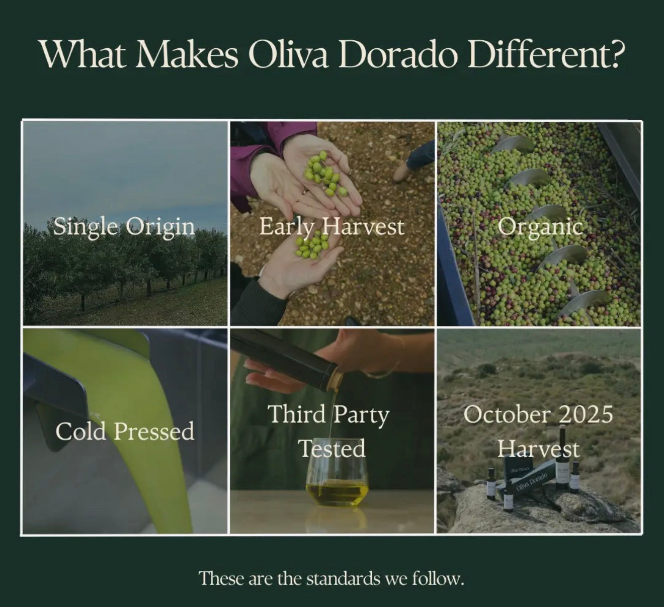 Oliva Dorado Organic Olive Oil
