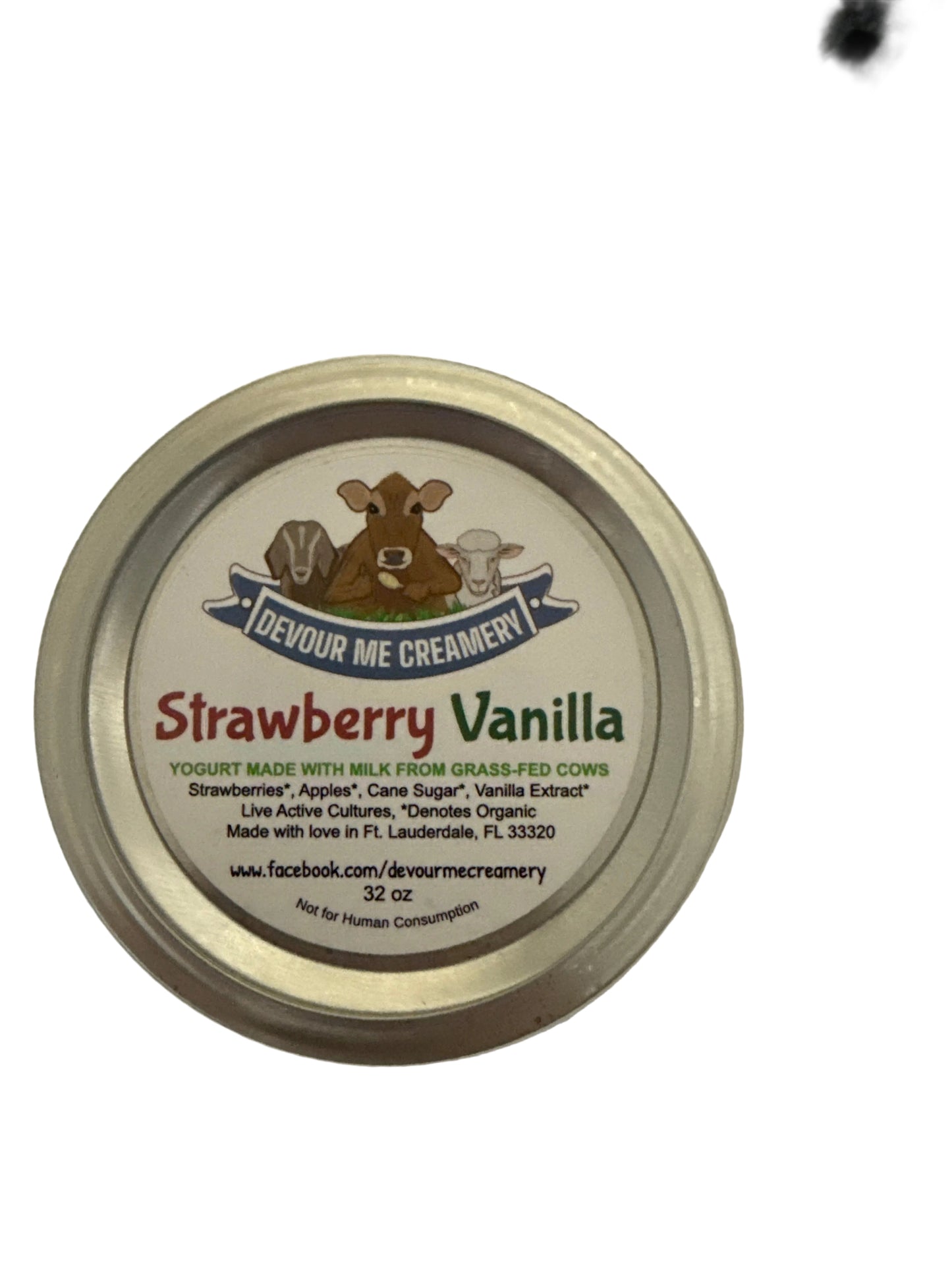 Raw Strawberry Vanilla Yogurt