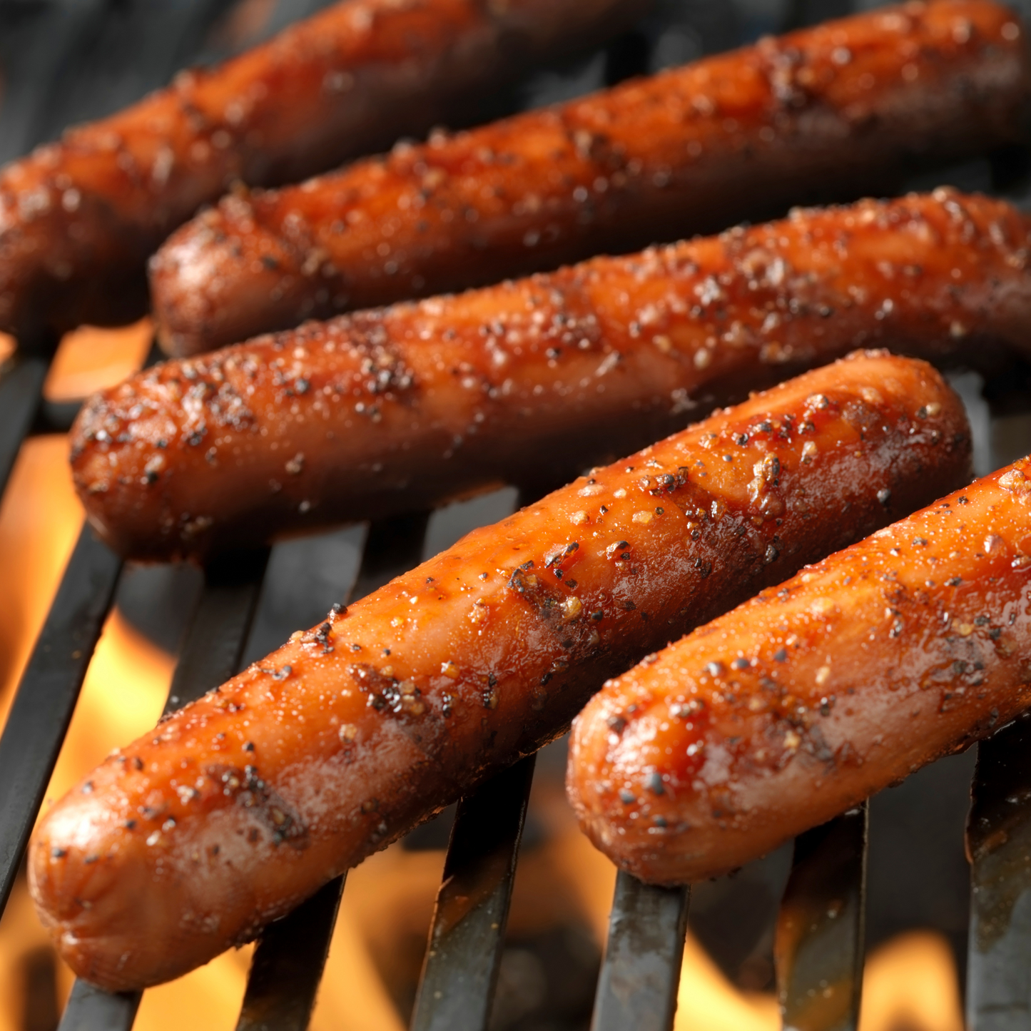 Florida Grass-Fed & Finished Steak Dogs