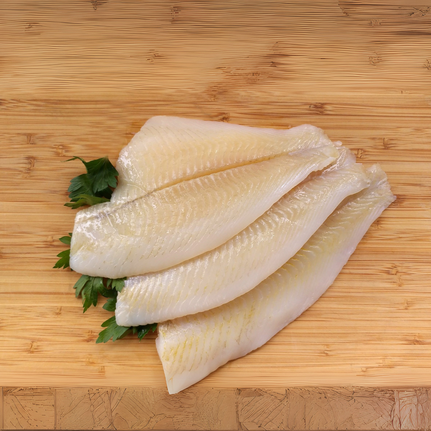 Flounder - Long Island, NY - Wild Caught & VSF Certified