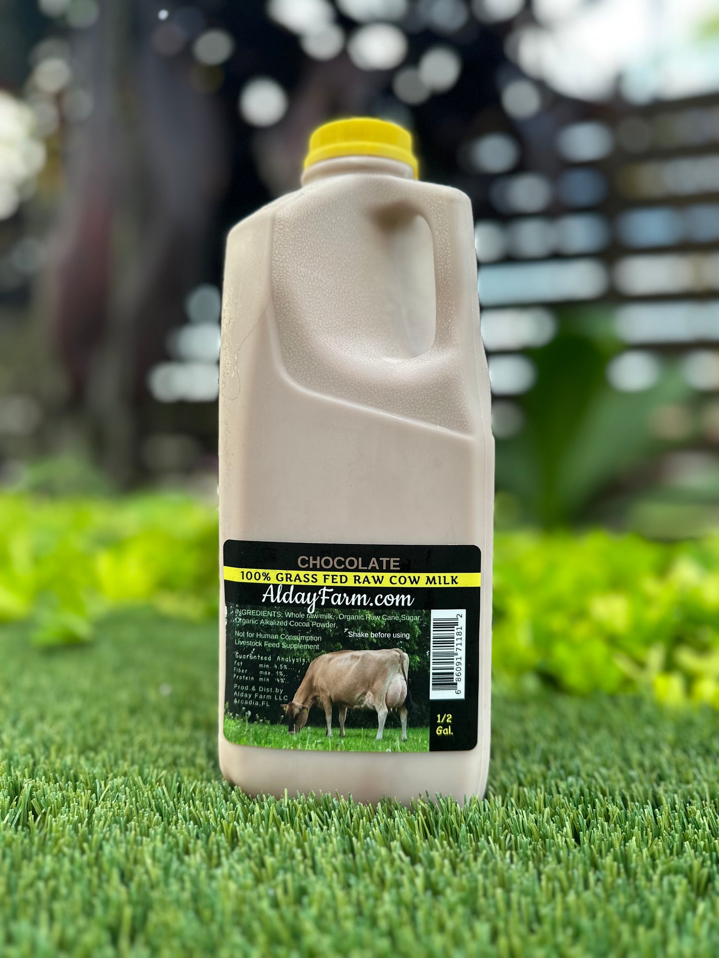Alday Raw Chocolate Milk 1/2 gallon