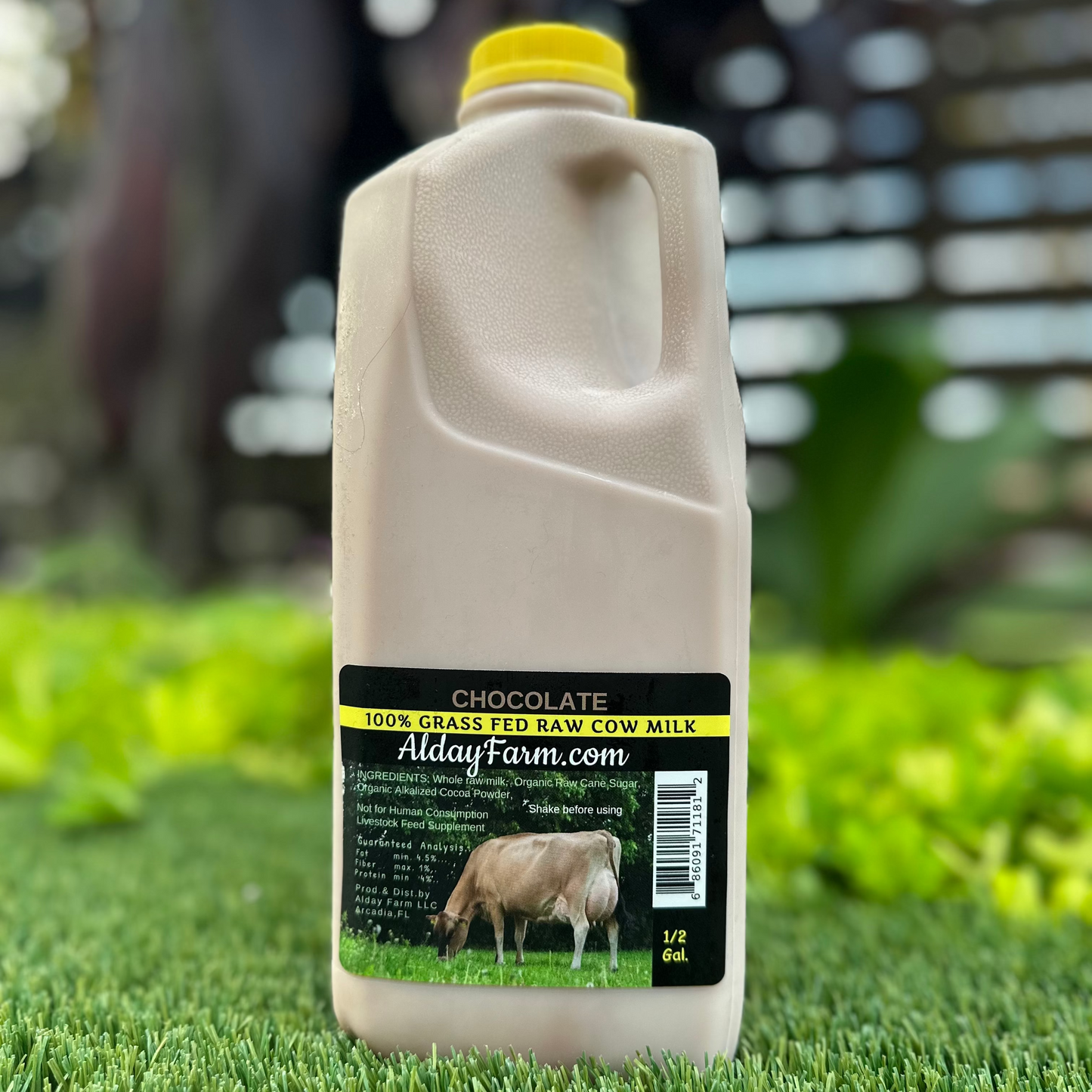 Alday Raw Chocolate Milk 1/2 gallon