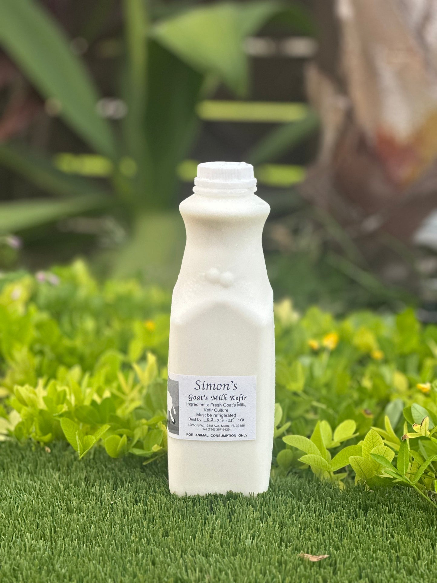 Raw Goat Kefir (1 Quart)