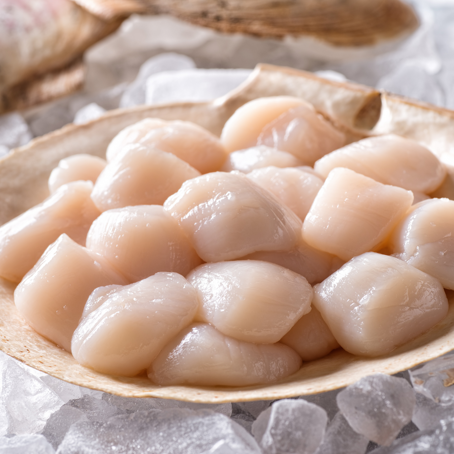 Hokkaido Scallops - Dry - Wild Caught & VSF Certified