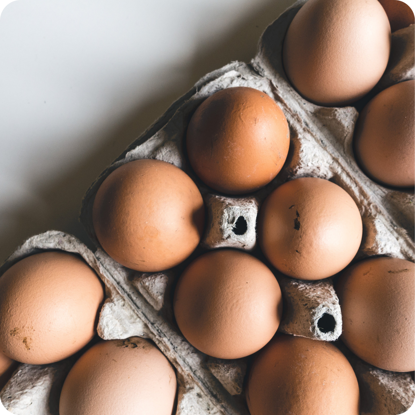 Pasture Raised, Corn & Soy Free Eggs (12 Eggs)