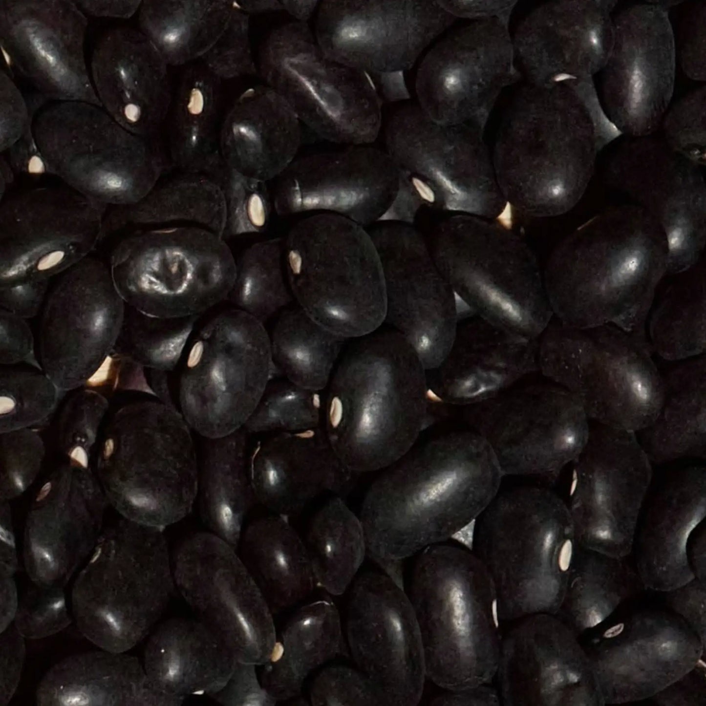 SIMPLi Regenerative Organic Certified Black Beans
