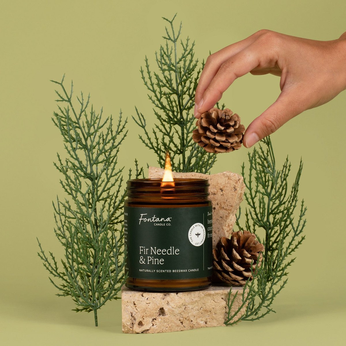 Fir Needle & Pine Beeswax Jar Candle
