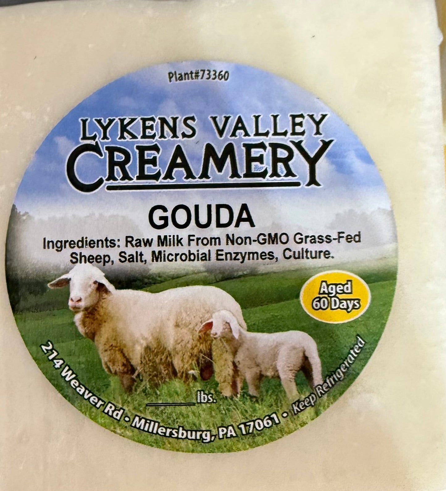 Raw Sheep Gouda Cheese - 8oz
