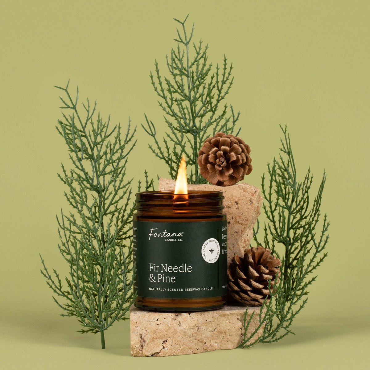 Fir Needle & Pine Beeswax Jar Candle