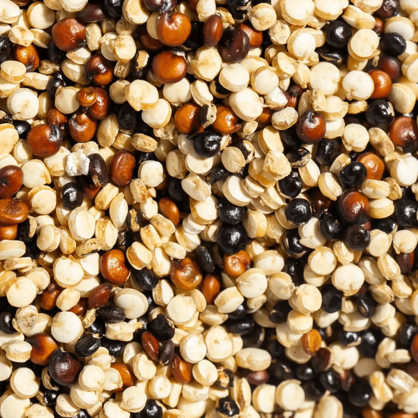 SIMPLi Regenerative Organic Certified Tri-Color Quinoa